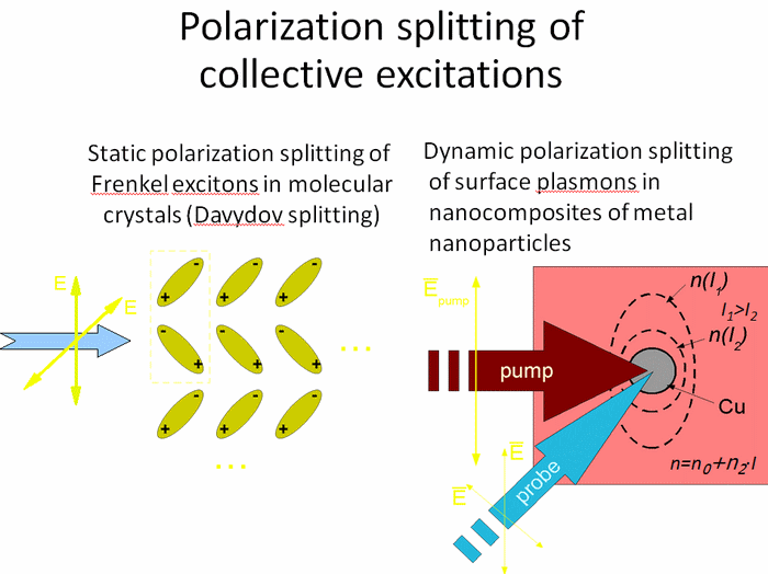 polarization splitting of collective excitations