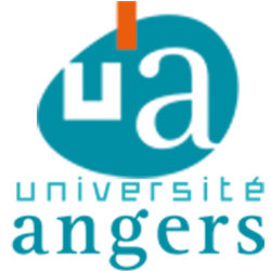 University of Angers, UFR Sciences, Institute of Sciences and Molecular Technologies of Angers, France