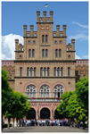 	V International conference «Nanotechnology and nanomaterials»	