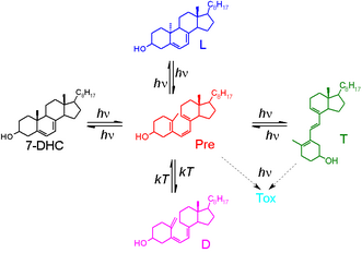 reaction scheme